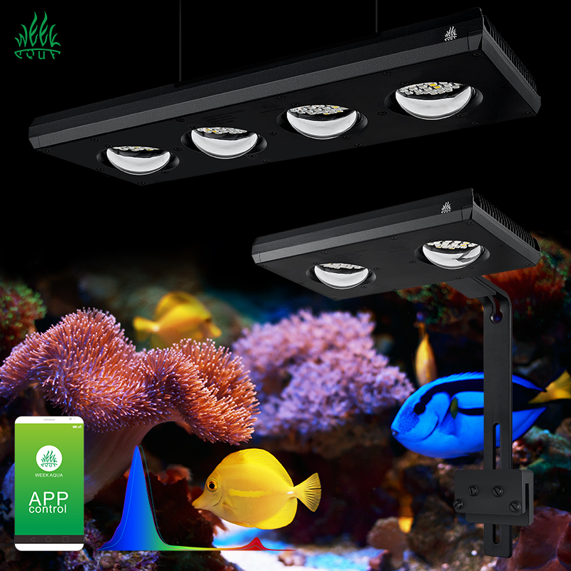 Aquarium Blue Marine Reef - ZXY Gorąca Wyprzedaż WEEKAQUA Z250 Z400sea