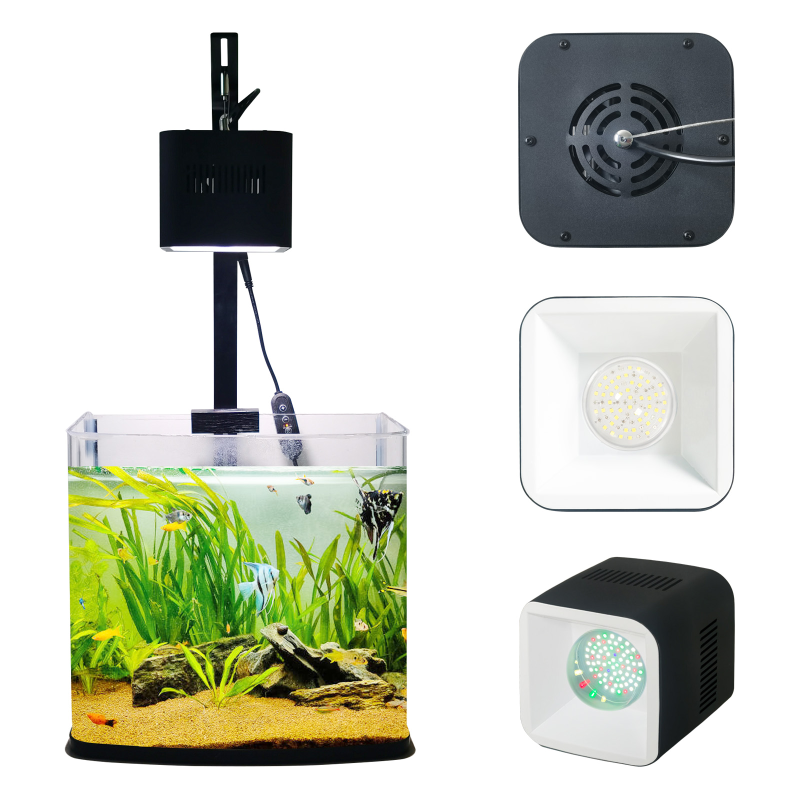 Panel z timerem 8H 10H 12H, la – Aquarium Blue Marine Reef recenzja i cena