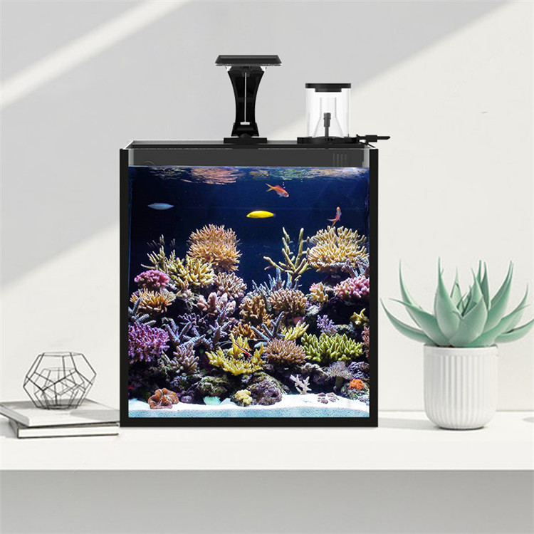 Skynuo Ultra Clear Glass Mini  – Marine Aquarium Cube recenzja i cena