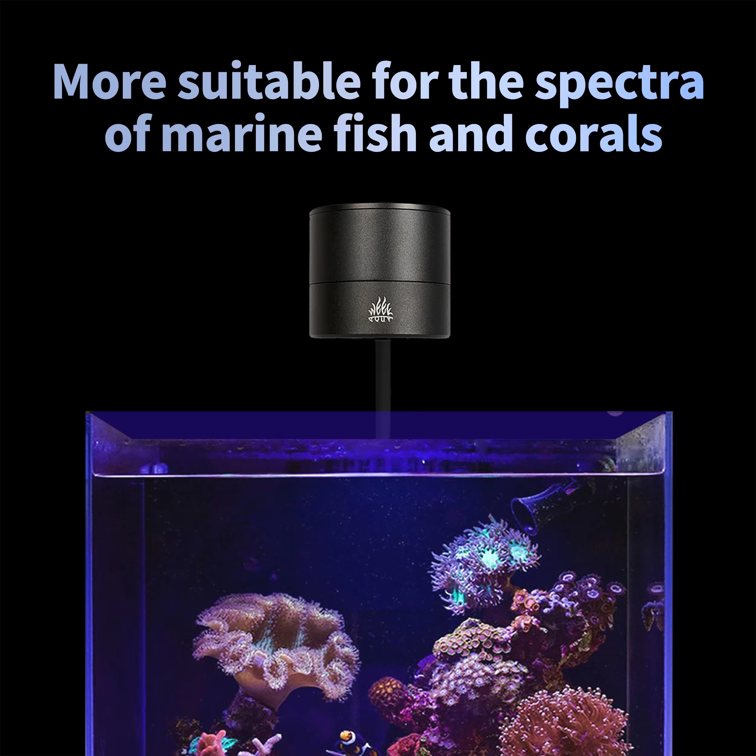 WEEK AQUA Producenty oświetlen – Aquarium Blue Marine Reef recenzja i cena