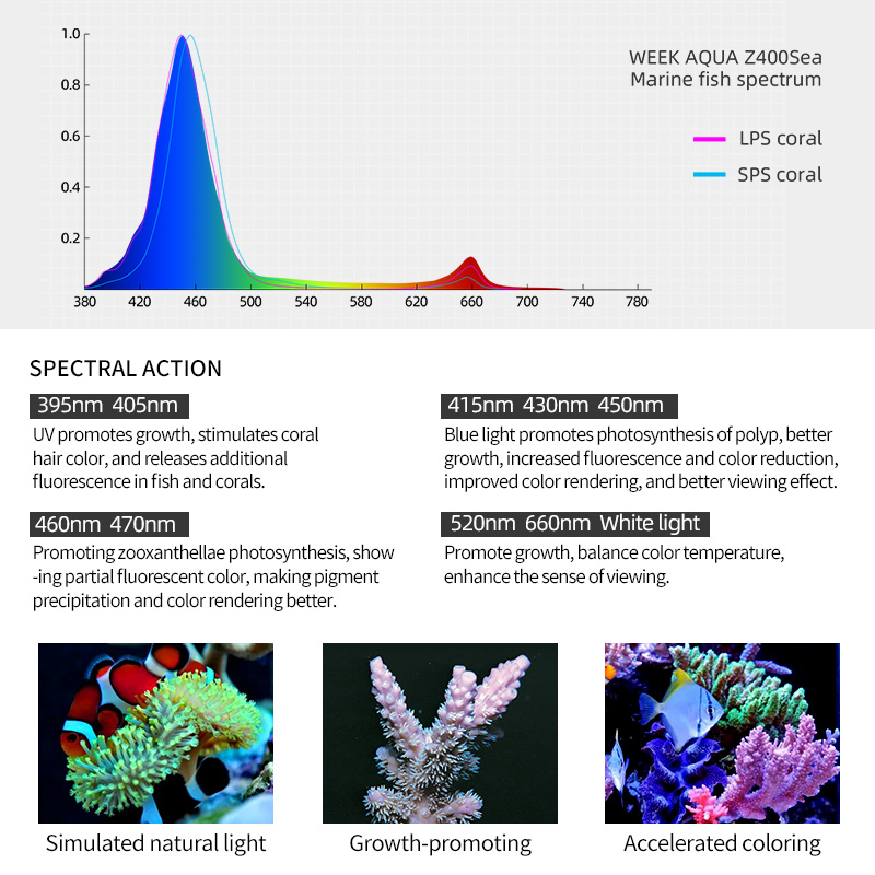 ZXY Gorąca Wyprzedaż WEEKAQUA  – Aquarium Blue Marine Reef recenzja i cena