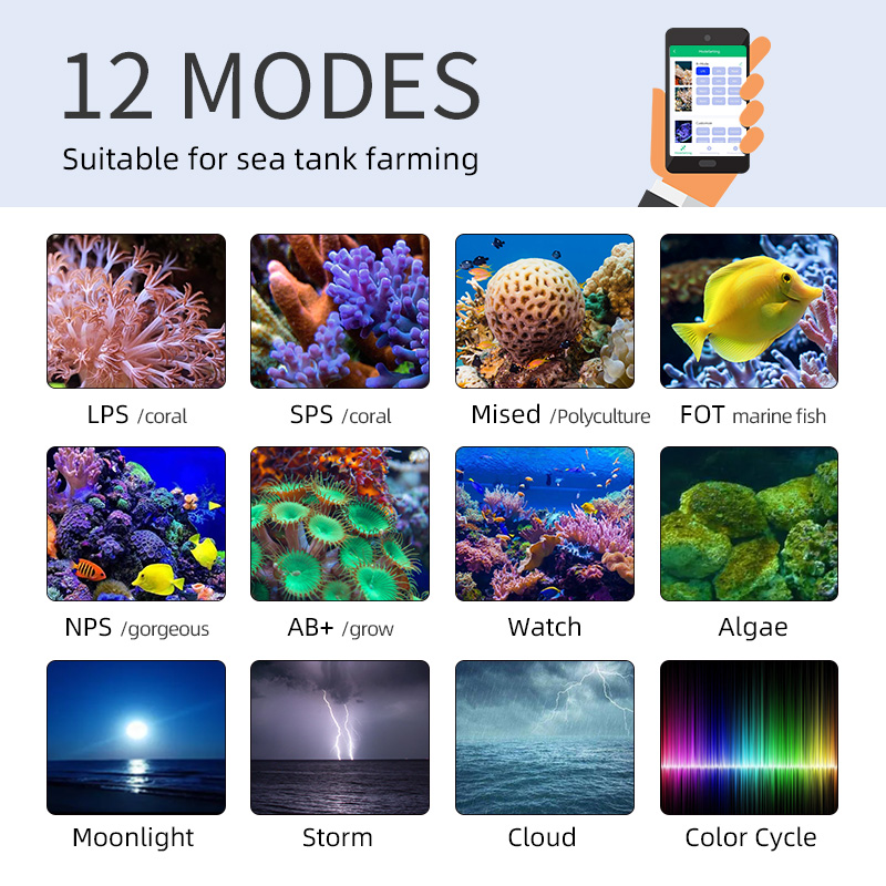 ZXY Gorąca Wyprzedaż WEEKAQUA  – Aquarium Blue Marine Reef recenzja i cena