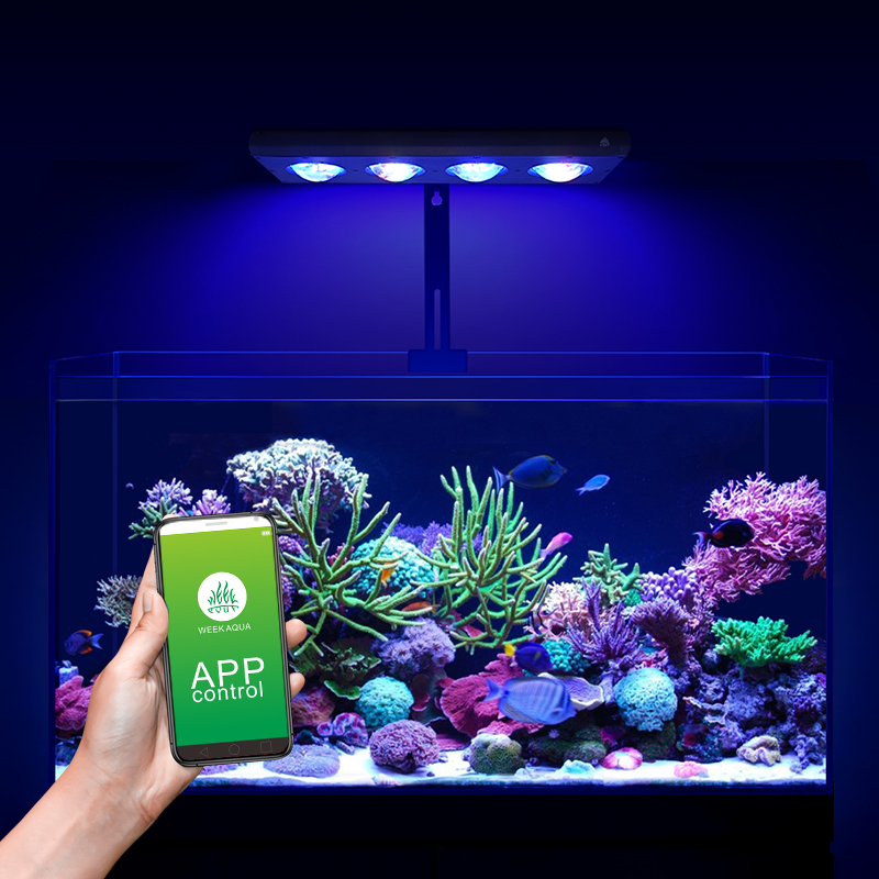 ZXY Gorąca Wyprzedaż WEEKAQUA  – Aquarium Blue Marine Reef recenzja i cena