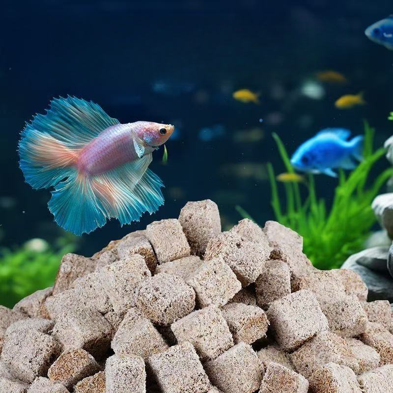 Naturalne, liofilizowane robak – Marine Aquarium Cube recenzja i cena