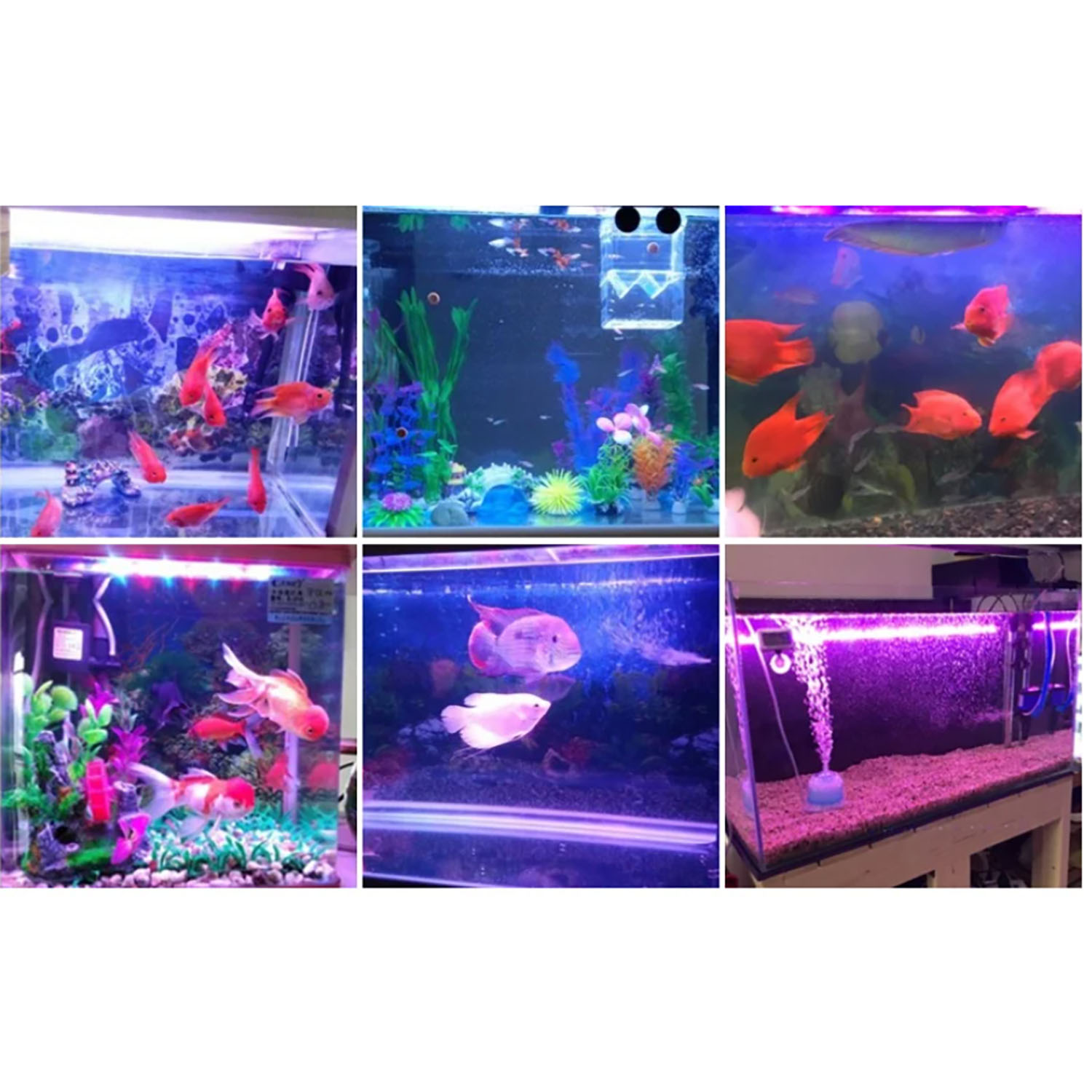 50W 60W 70W 100W RGB 26-28V Wy – Marine Aquarium Uv recenzja i cena