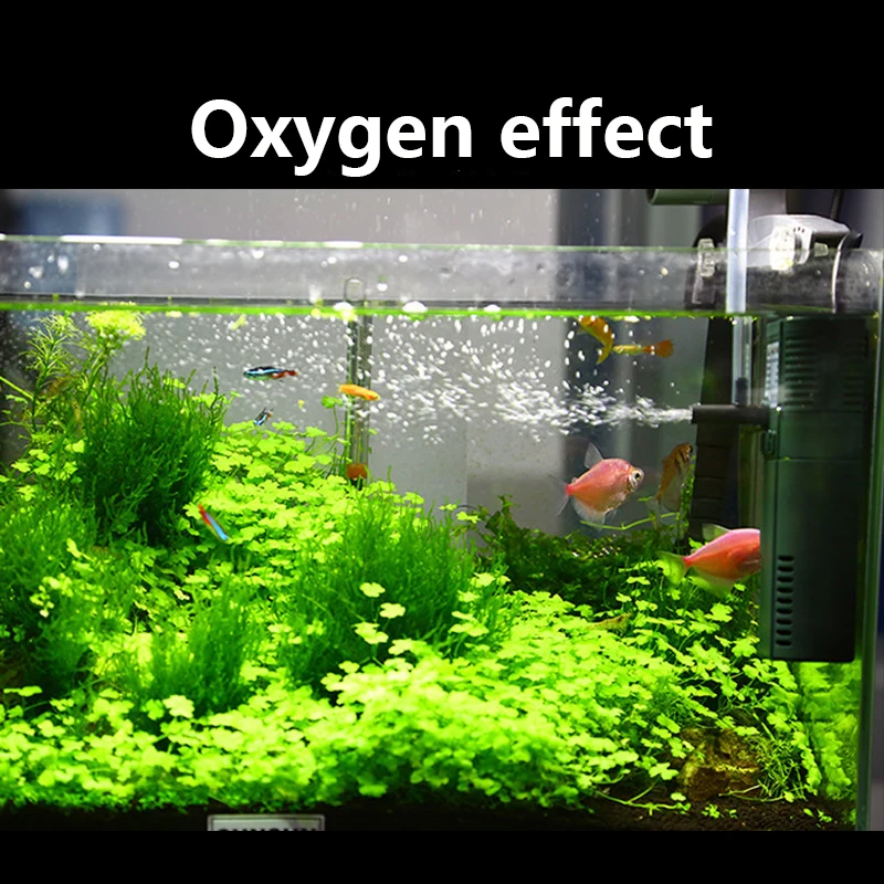SUNSUN mini nano 111B 311B 611 – Aquarium Blue Marine Reef 60 recenzja i cena