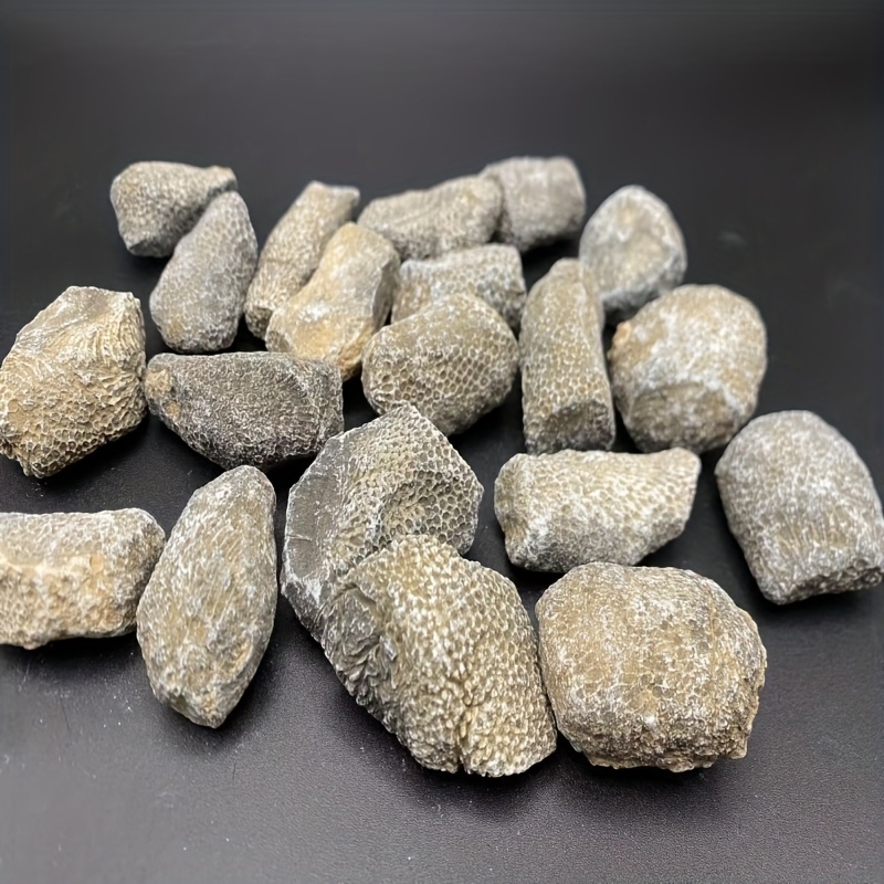 1 szt. Naturalny Koralowy Kami – Aquarium Marine Rock recenzja i cena