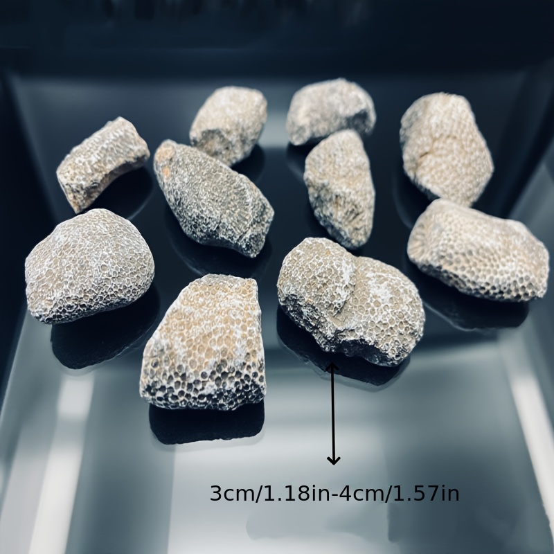 1 szt. Naturalny Koralowy Kami – Aquarium Marine Rock recenzja i cena